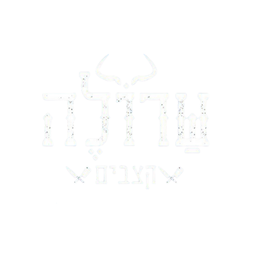 לקוח 7